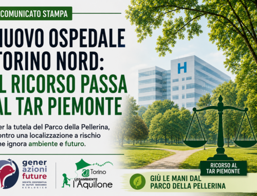 Nuovo ospedale Torino Nord: il ricorso passa al TAR Piemonte.