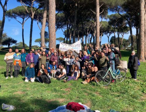 *Prendiamoci cura dei Pini di Villa Pamphilj!!*