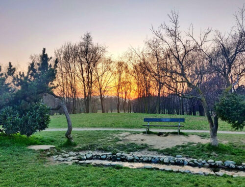 Salviamo la Pellerina ed il verde pubblico