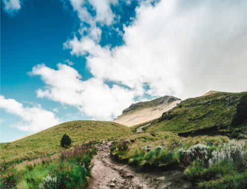 IL CAMMINO DEL NUOVO CLN