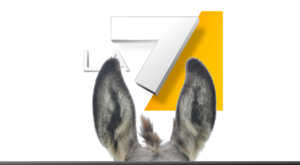 TAGADA’ 17 NOVEMBRE 2021 – a chiarimento